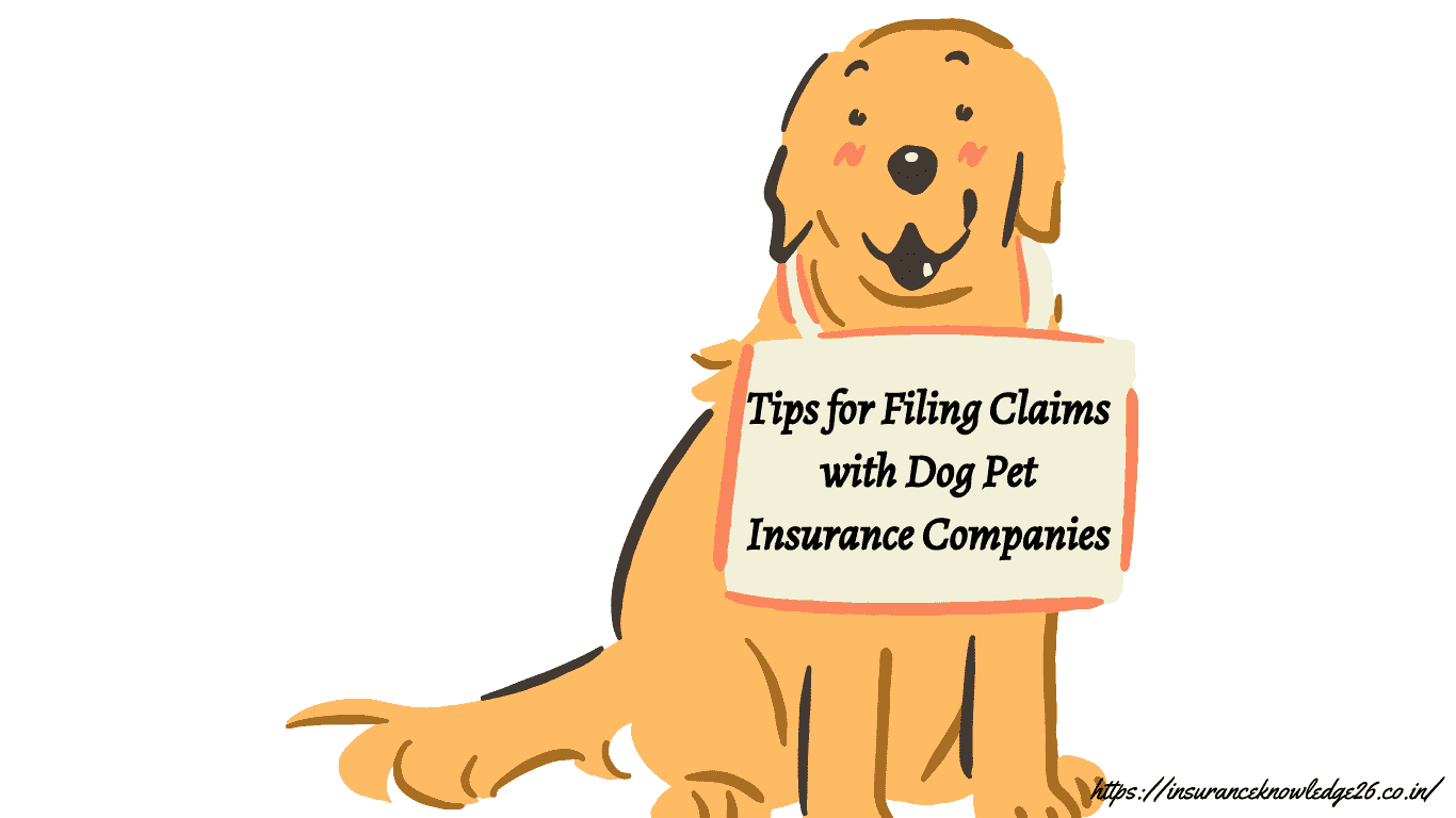 Health Insurance Motor Insurance Home Insurance Fire Insurance Travel Insurance Dog Pet Insurance Property Insurance