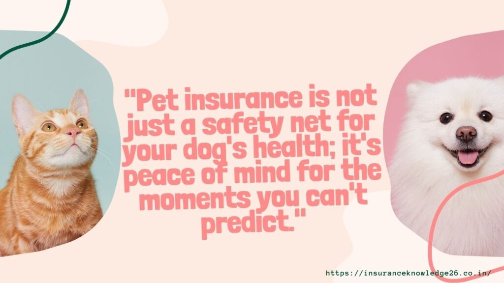 Dog Pet Insurance