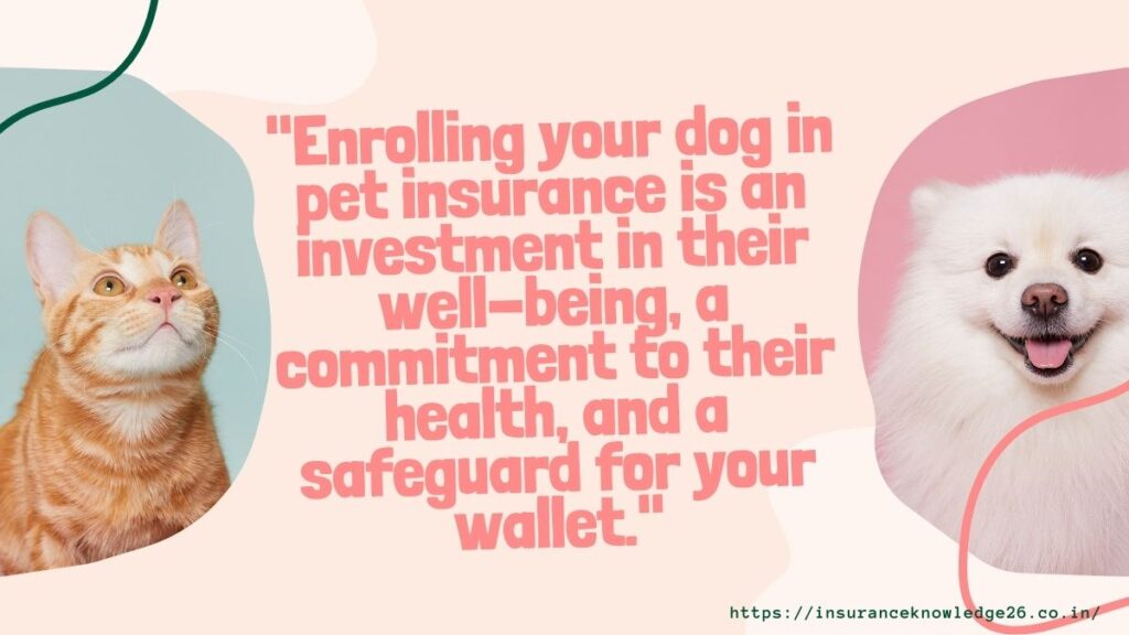 Dog Pet Insurance