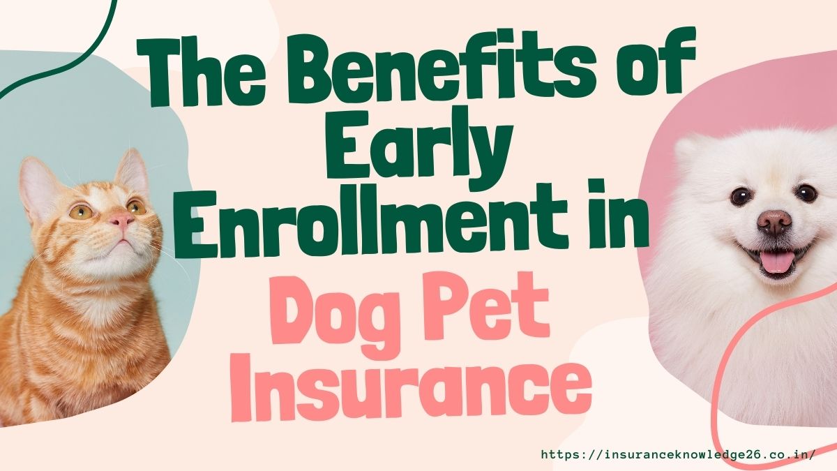 Dog Pet Insurance