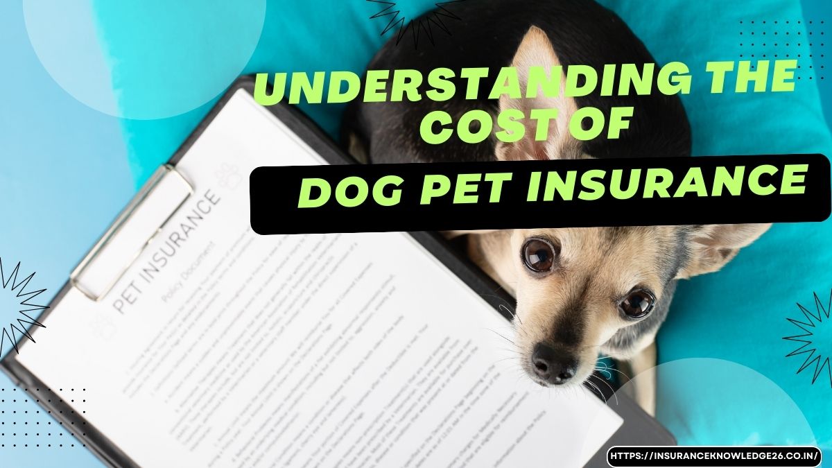 Understanding the Cost of Dog Pet Insurance A Comprehensive Guide for Dog Lovers